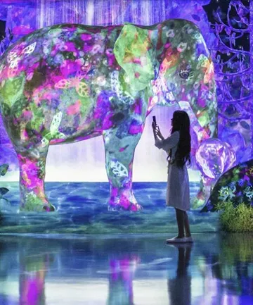 Leveraging Digital Platforms to Enhance Tourist Experiences in Saudi Arabia